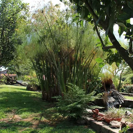 Casa Do Sol Holiday home *